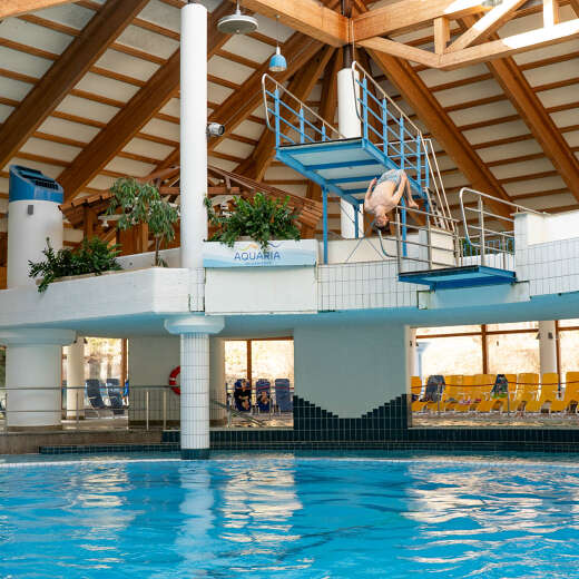 Turmspringen Backflip Aquaria Turmspringen Backflip Aquaria