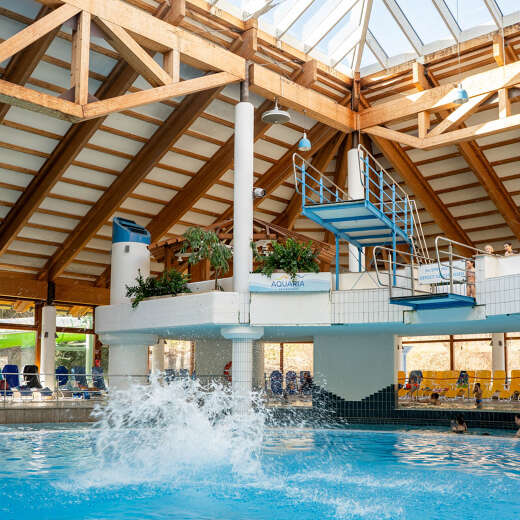 Turmspringen Wasserfontaene Aquaria Turmspringen Wasserfontaene Aquaria